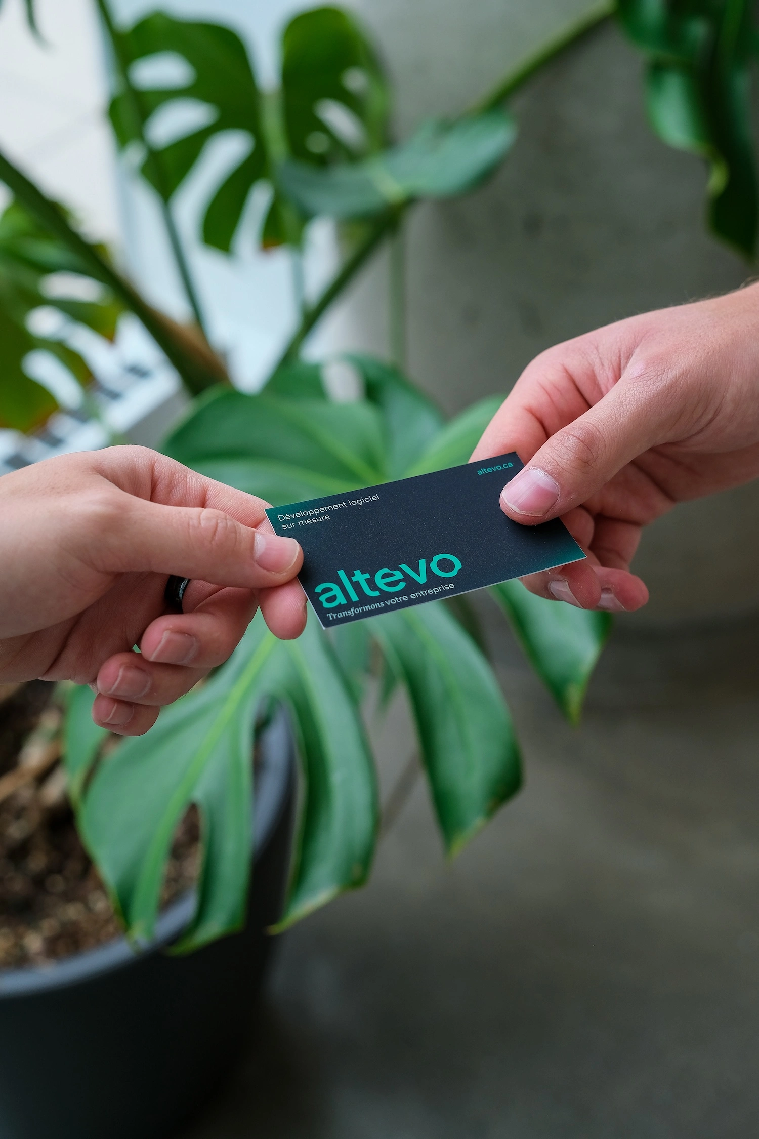 Altevo Business Card